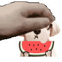 Cartoon Pet Pet Gif